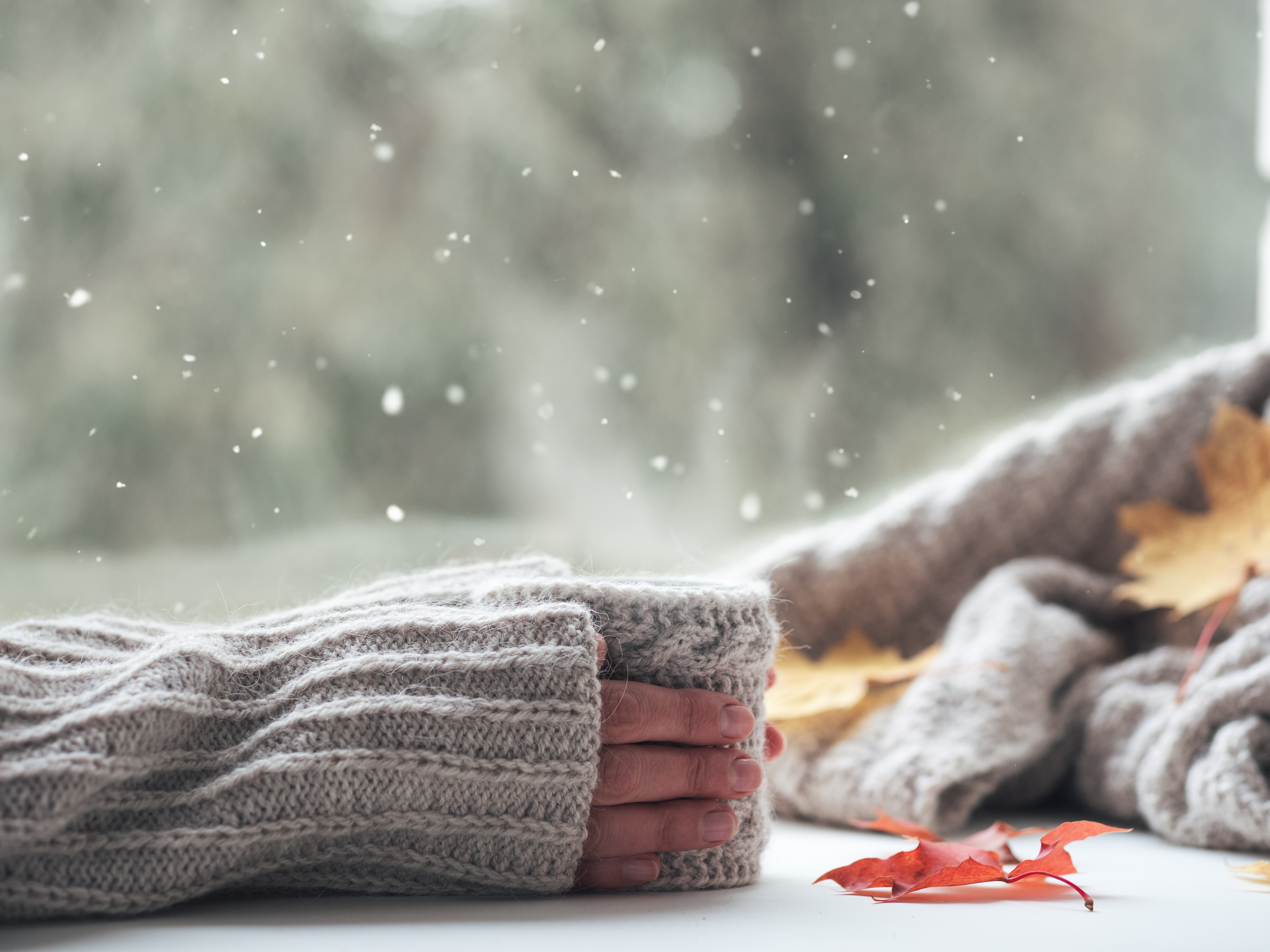 Зима все ближе