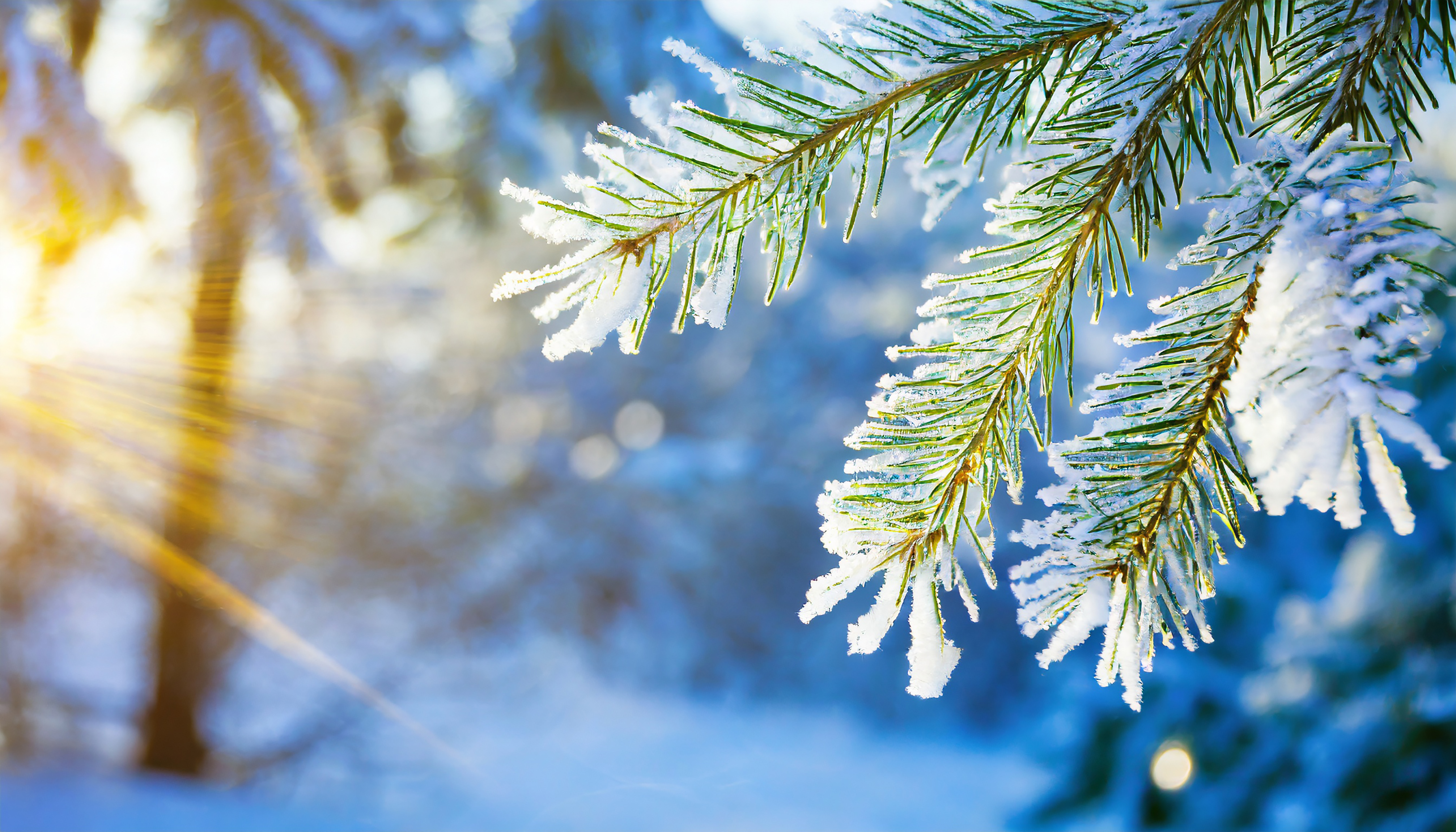 В прогнозах – зима!