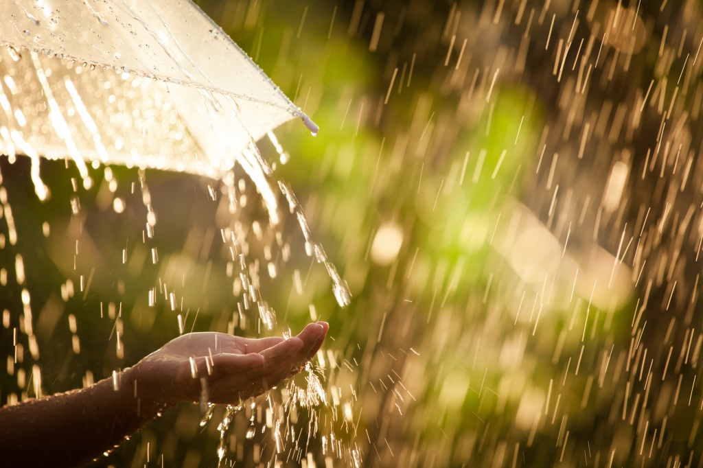 shutterstock_652028218.jpg