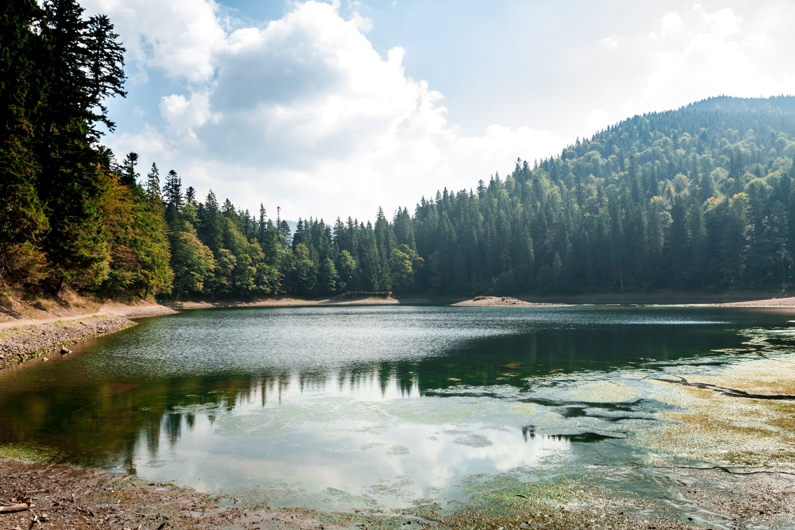 Можно ли купаться в незнакомом водоеме?