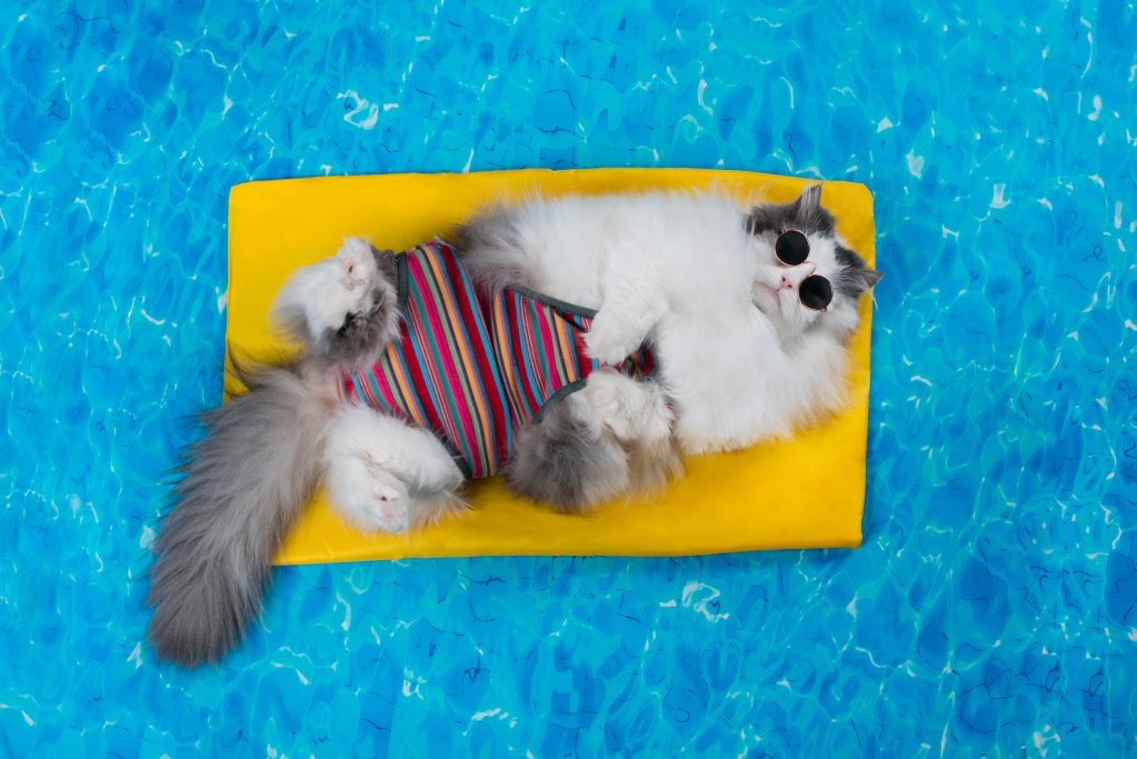 shutterstock_795232006.jpg