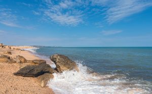 Азовское море, повышенная солёность и рыба